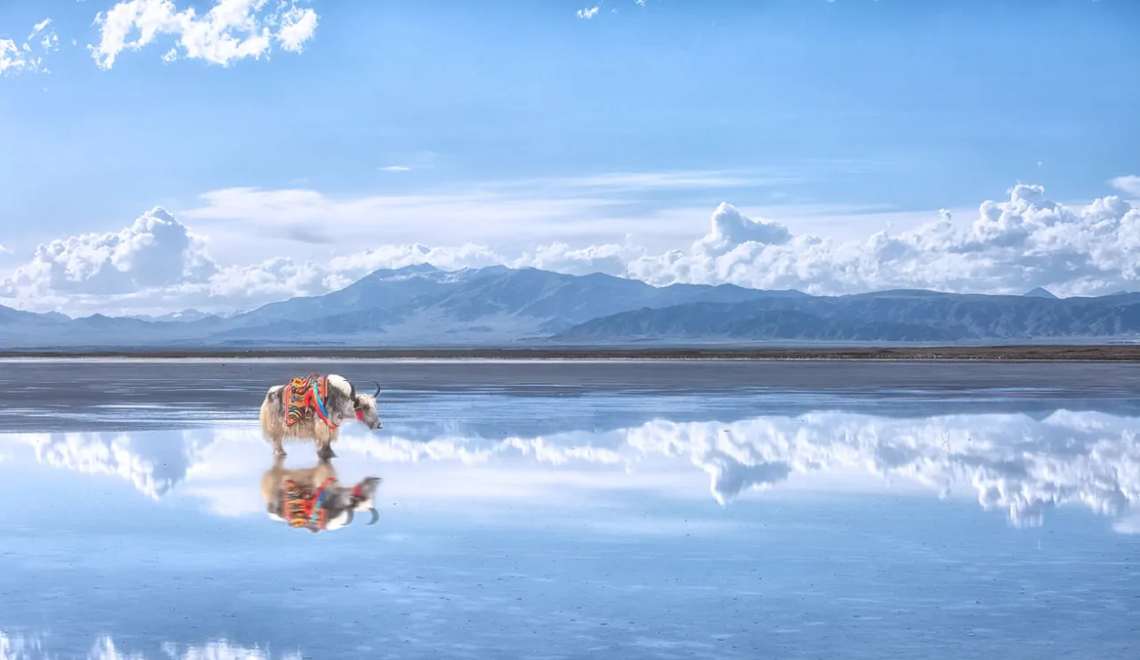 蘭州/西寧起止+張掖七彩丹霞+嘉峪關城樓+鳴沙山月牙泉+莫高窟+翡翠湖+水上雅丹+西